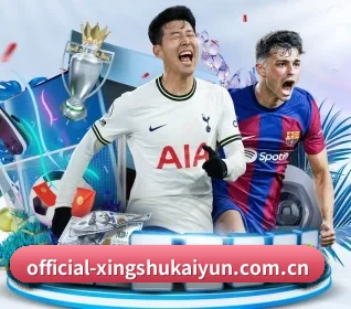 开云登录入口围绕看球场景设计的核心服务
