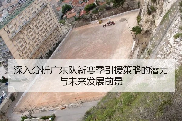 深入分析广东队新赛季引援策略的潜力与未来发展前景