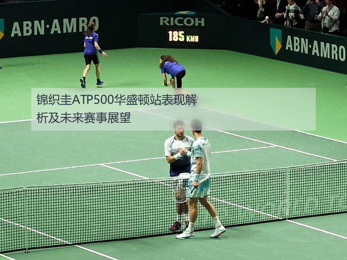 锦织圭ATP500华盛顿站表现解析及未来赛事展望